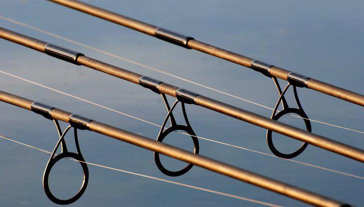 Diverse - 625628176029199212060310772173n.jpg